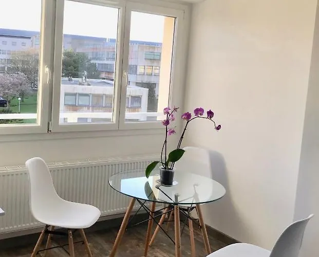 Joli Sevigne A Apartment Caen